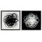 Stupell Industries Black & White Tangled Lines 2 pc Framed Floater Canvas Wall Art Set Design by Haxton